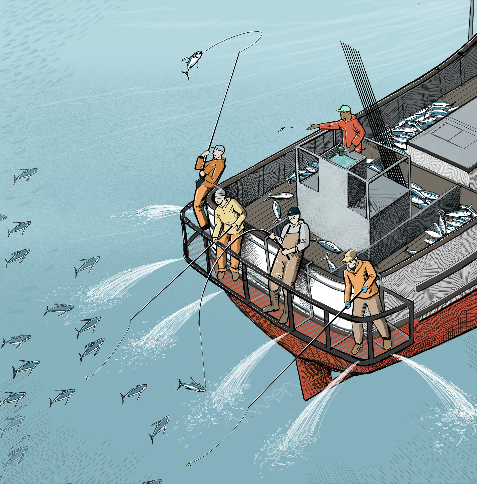 Fishermen using poles to catch albacore tuna