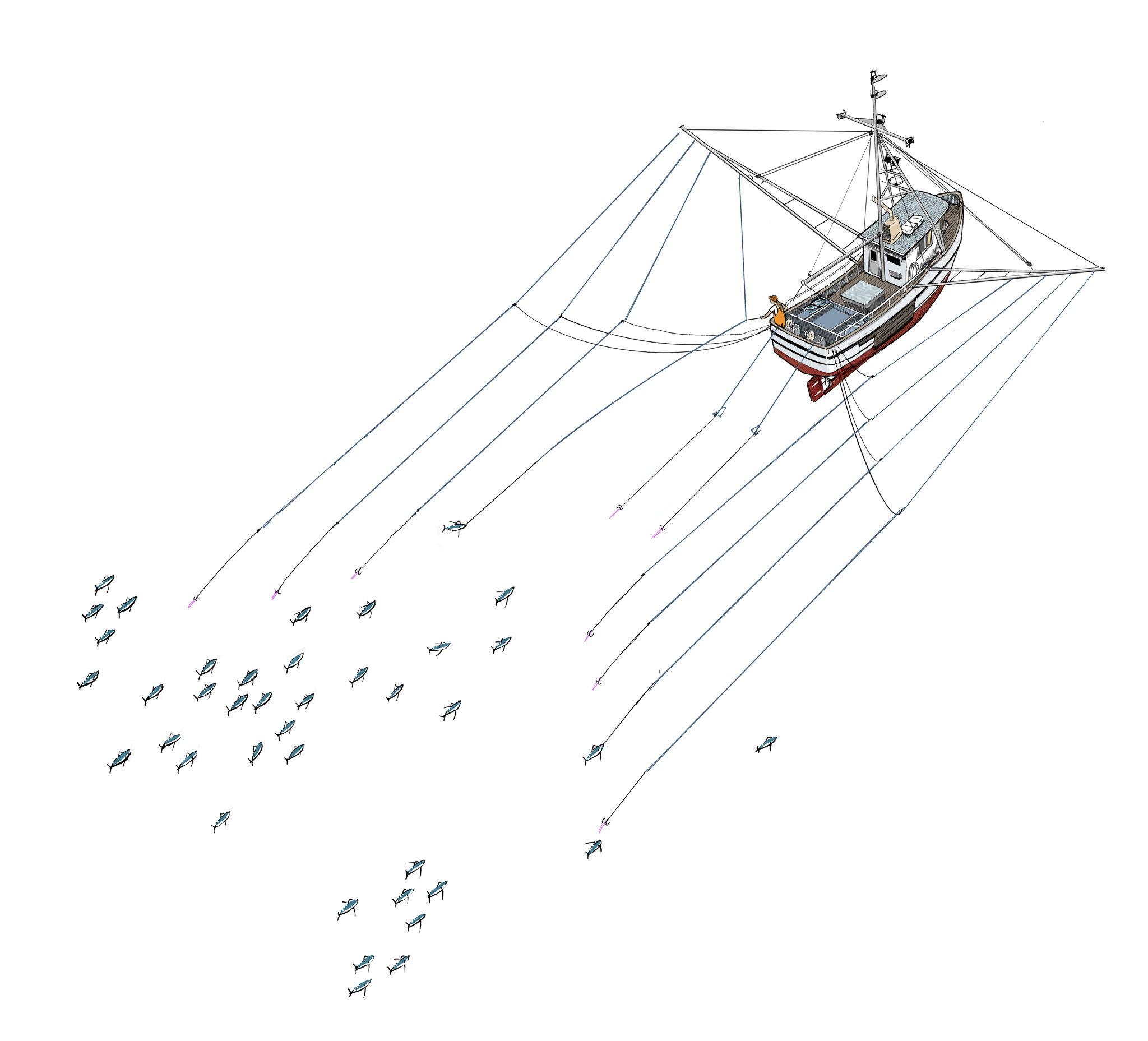 Fishing vessel trolling for albacore tuna