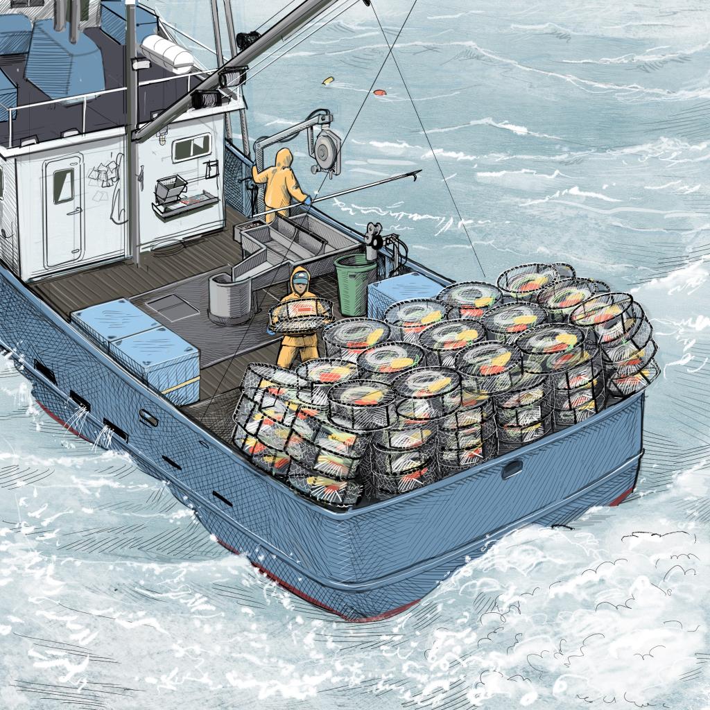 Back deck of a Dungeness crab vessel