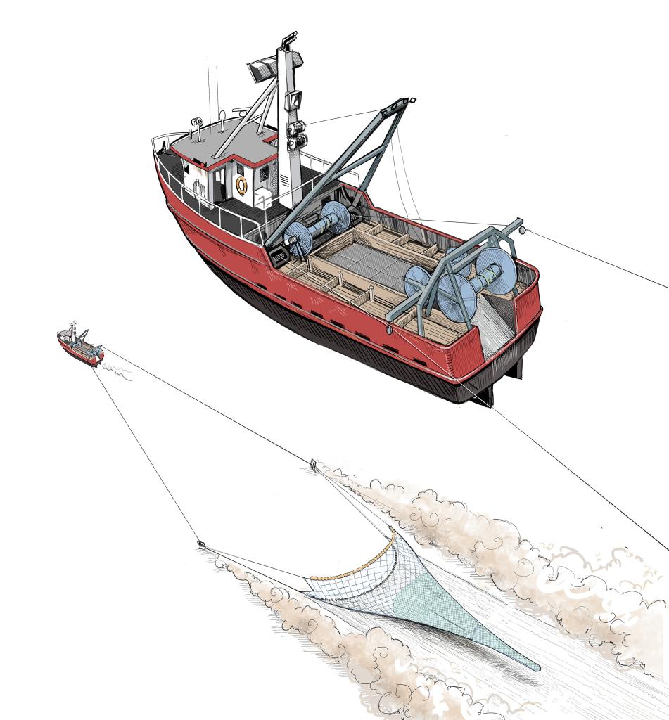 Vessel towing a groundfish trawling net 
