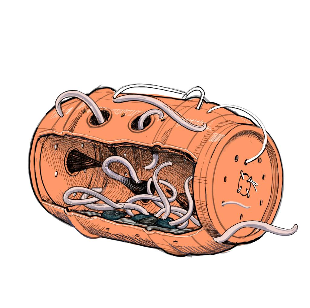 Illustration of hagfish barrel