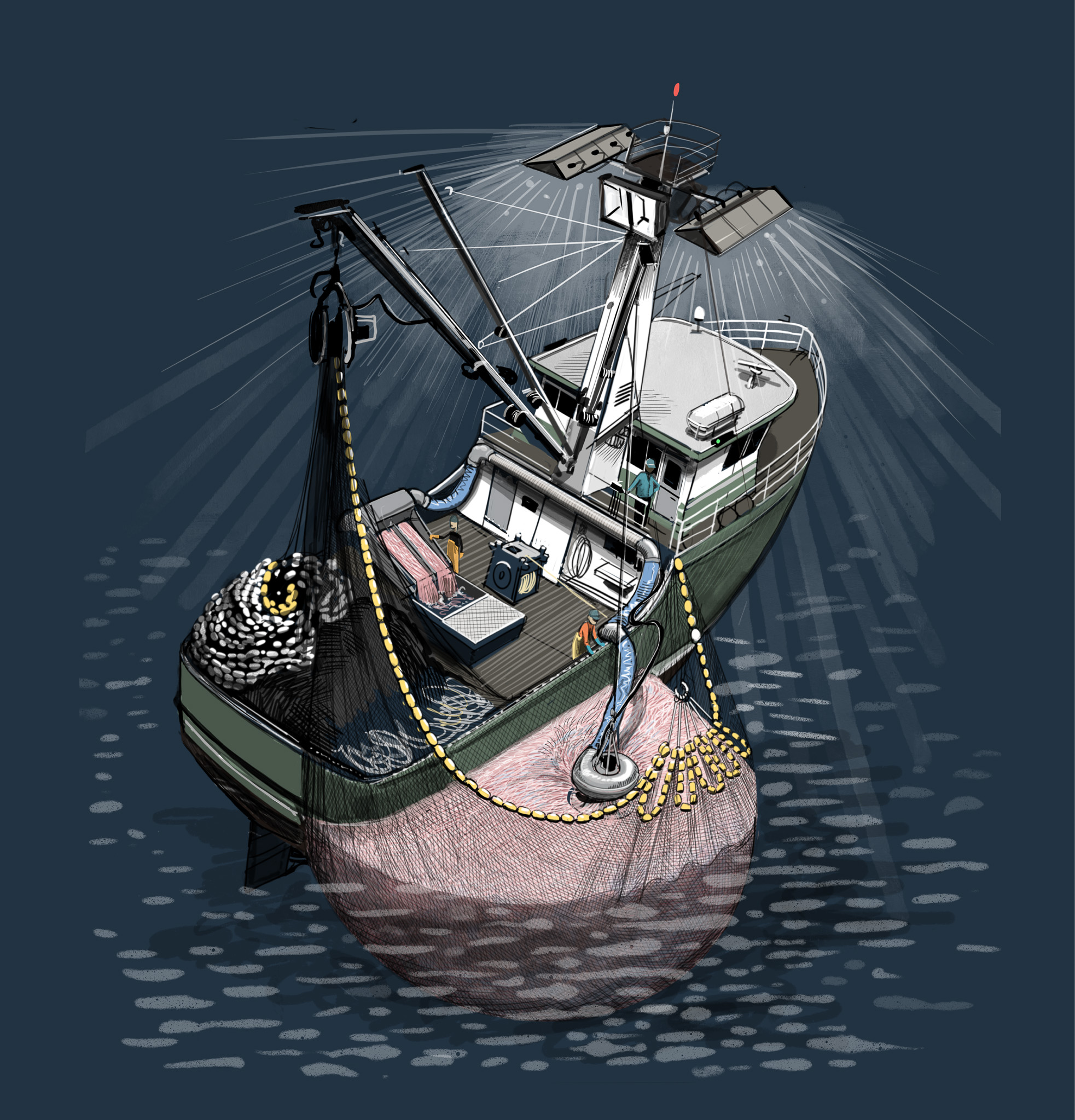 Squid seiner pumping squid onboard the vessel at night