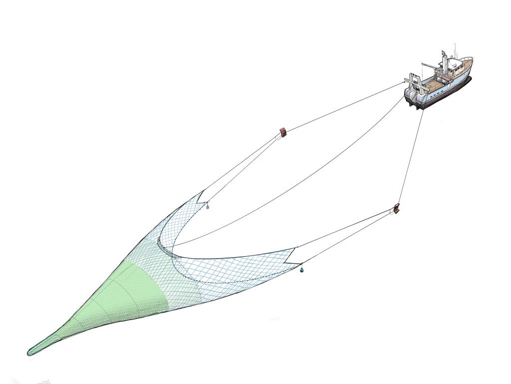 Fishing vessel towing a mid-water trawl net targeting whiting