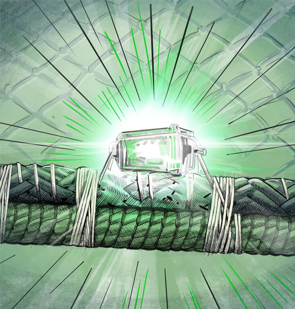 LED lights are used to reduce bycatch of smaller fish in shrimp trawling