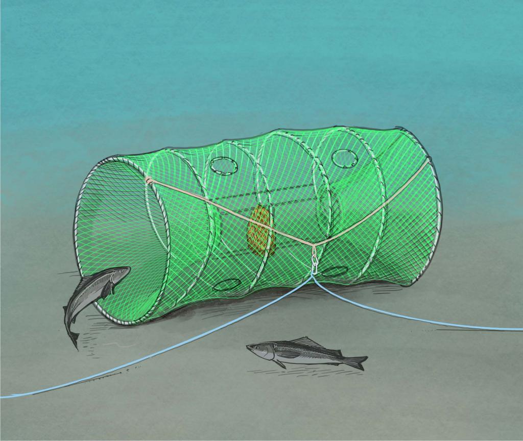 Closeup of hagfish slinky pot