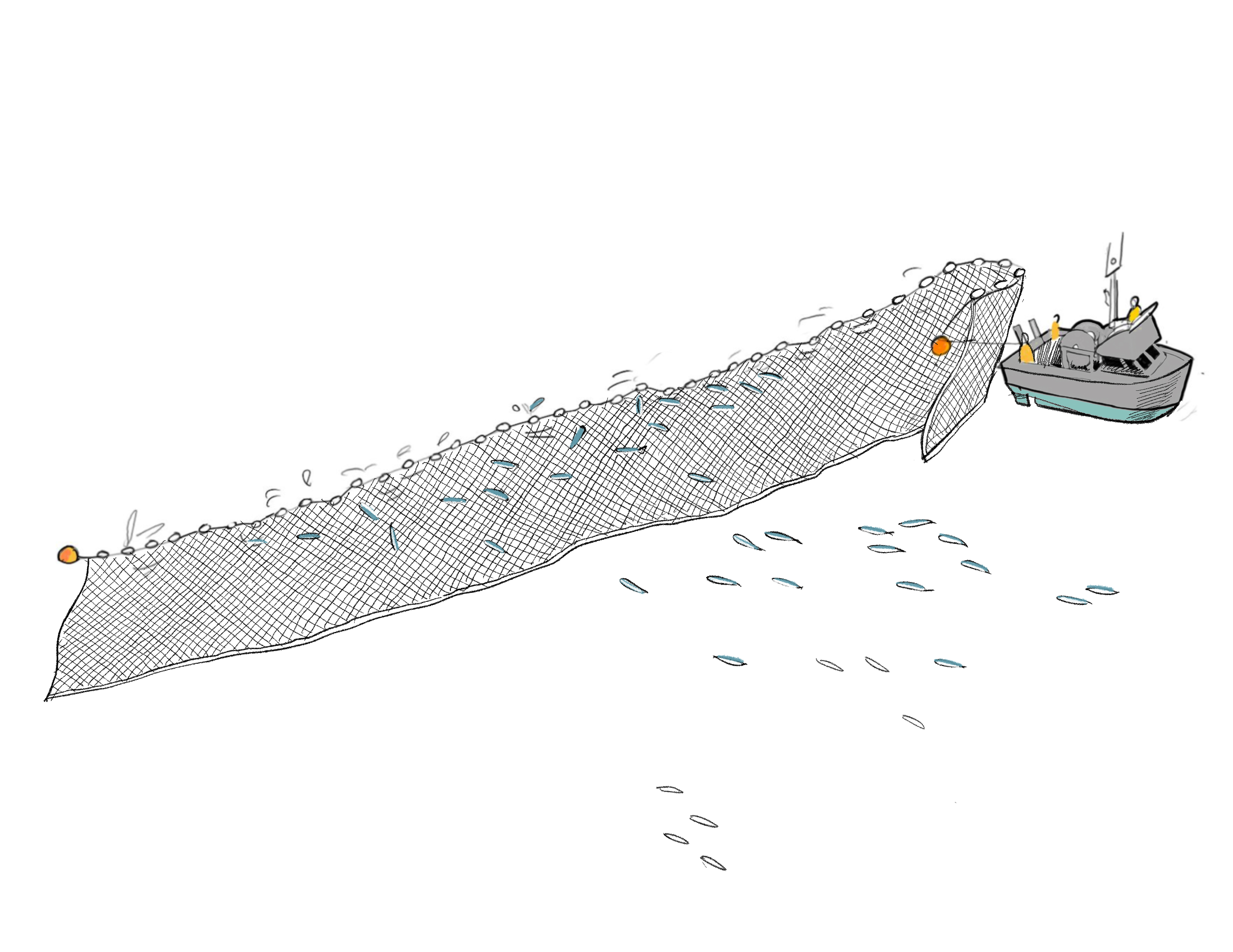 Gillnet vessel setting a net