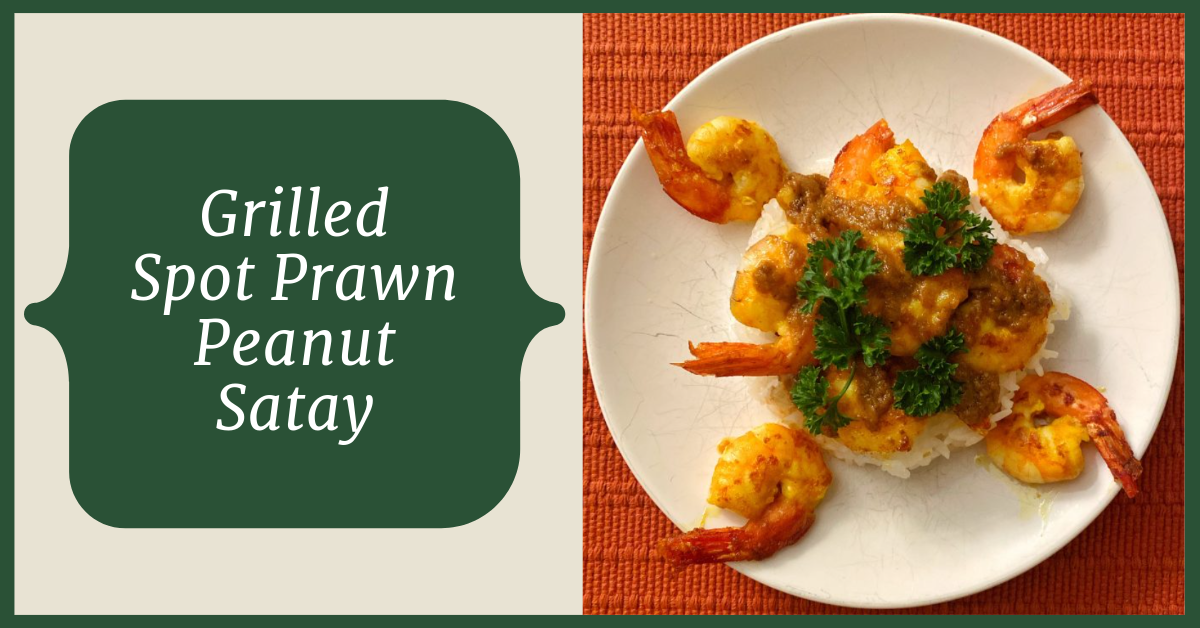 Grilled shrimp satay