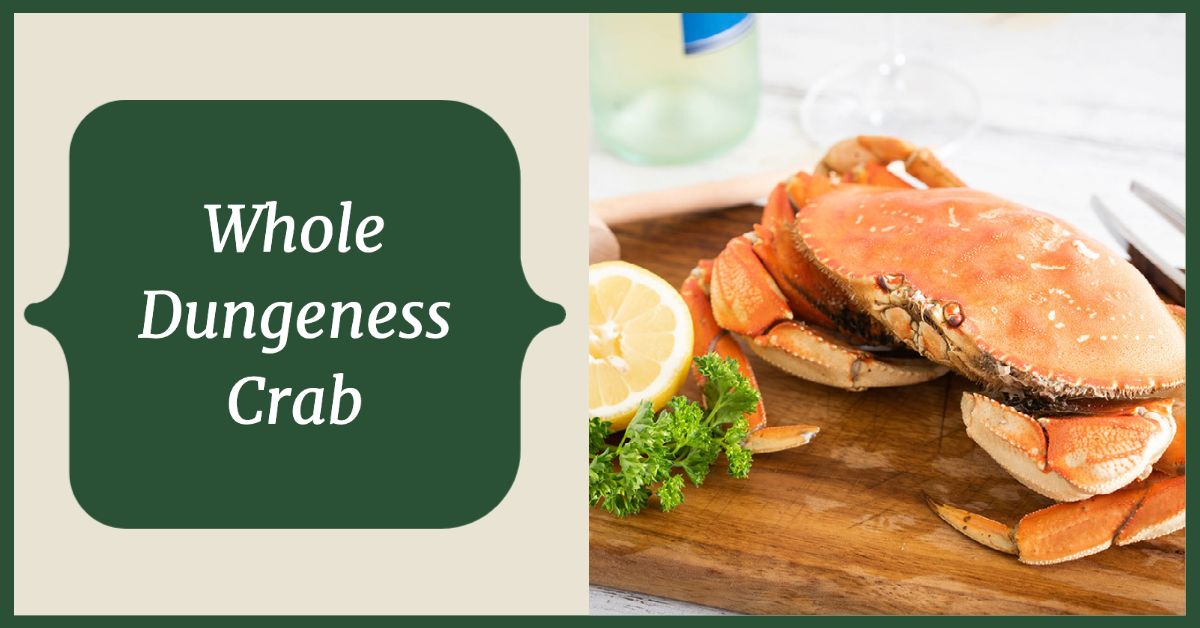 Whole dungeness crab