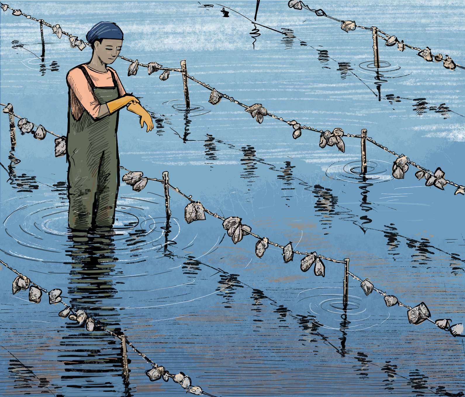 Illustration of person standing on a mudflat next to oyster longline gear, by Tom Crestodina