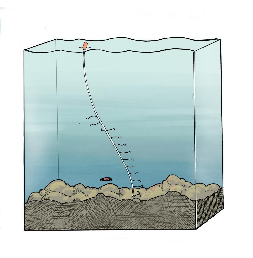 Vertical longline in the water column