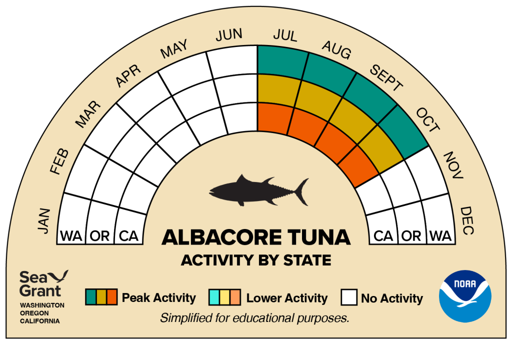 activity wheel for albacore tuna that depicts monthly activity levels (peak, low, closed)