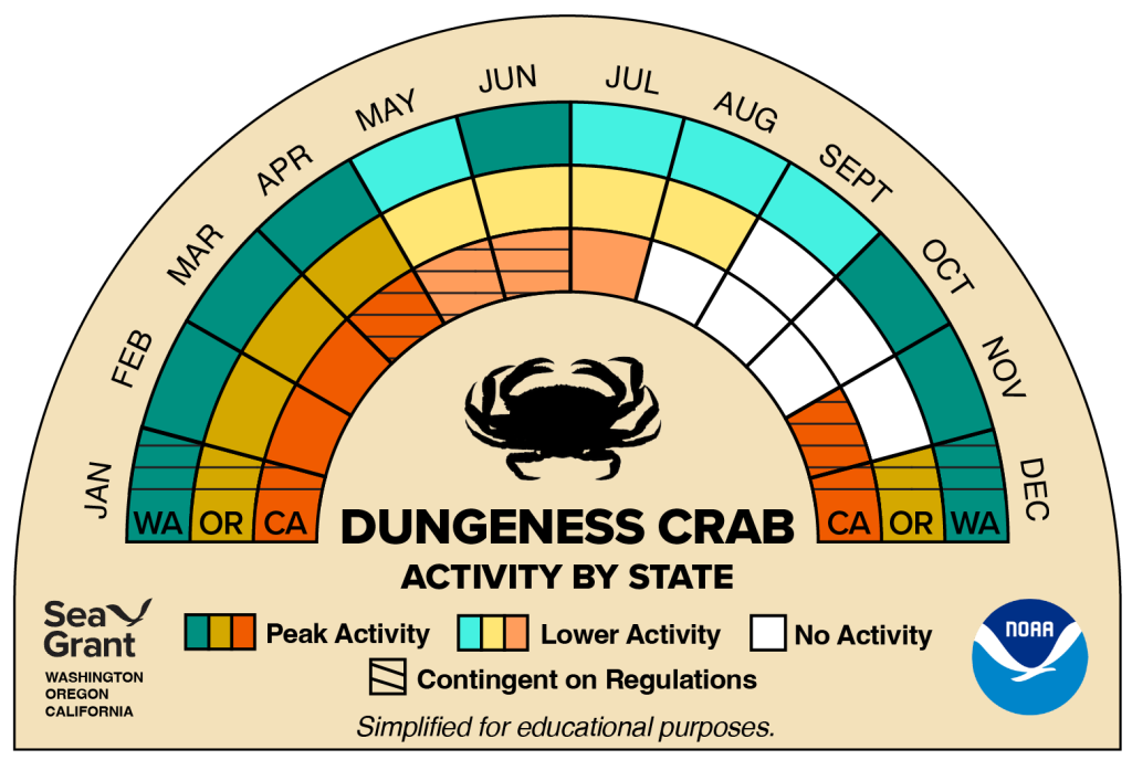 activity wheel for dungeness crab that depicts monthly activity levels (peak, low, closed)