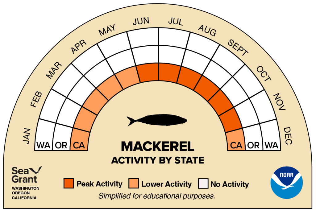 activity wheel for mackerel that depicts monthly activity levels (peak, low, closed)