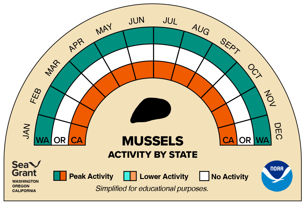 activity wheel for mussels that depicts monthly activity levels (peak, low, closed)