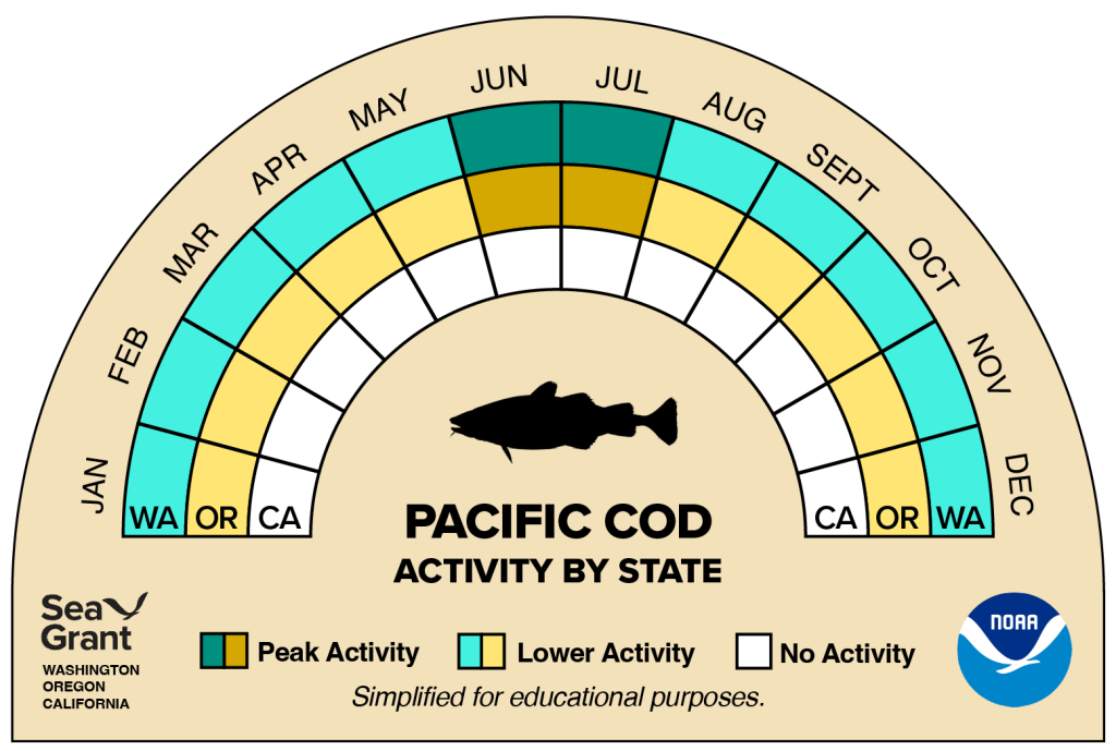 activity wheel for pacific that depicts monthly activity levels (peak, low, closed)