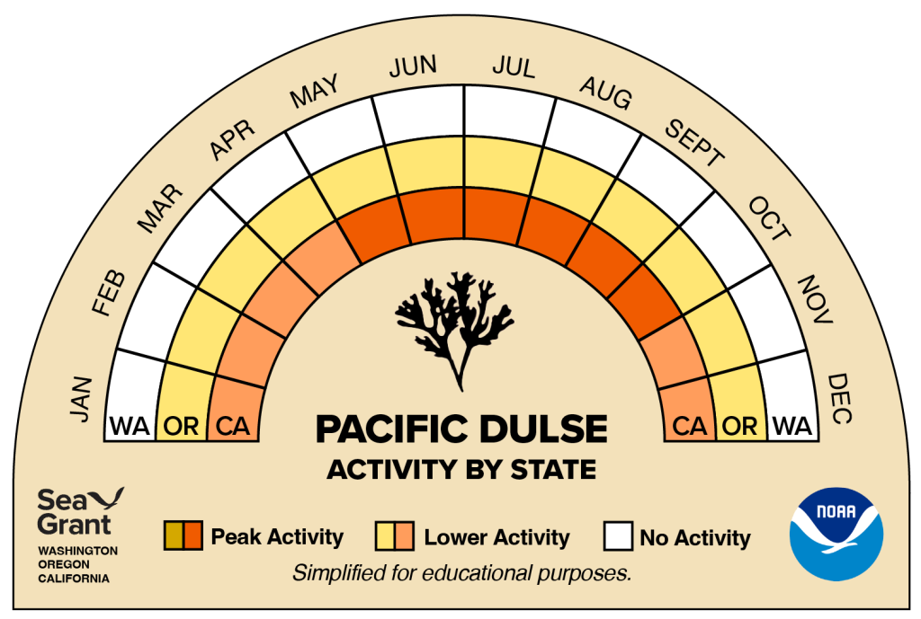 activity wheel for pacific dulse that depicts monthly activity levels (peak, low, closed)