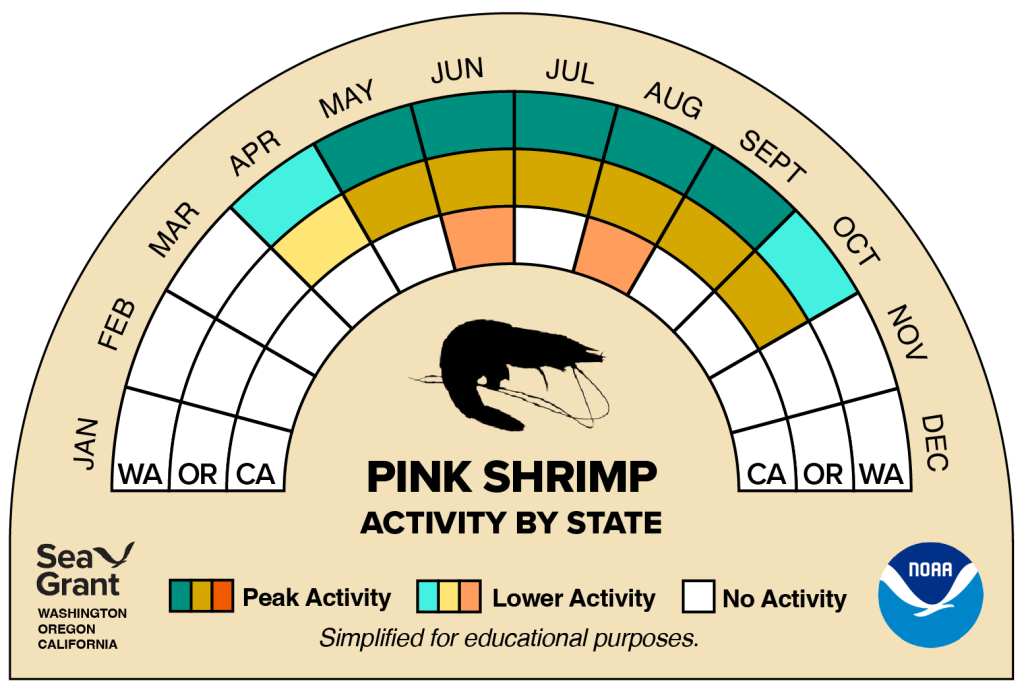 activity wheel for pink shrimp that depicts monthly activity levels (peak, low, closed)