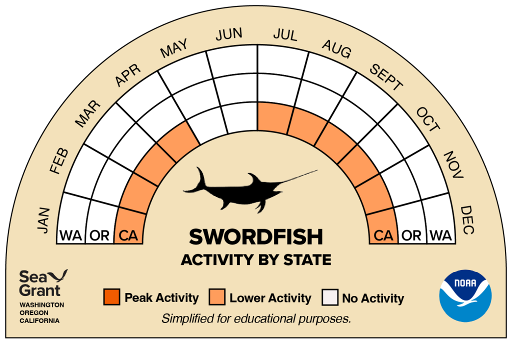 activity wheel for swordfish that depicts monthly activity levels (peak, low, closed)