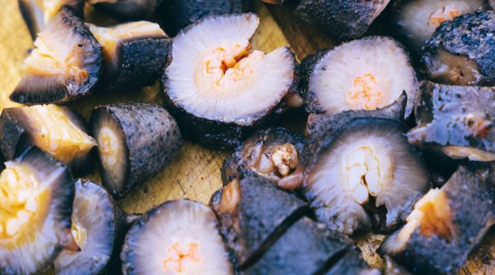 sea cucumber chopped on cutting board