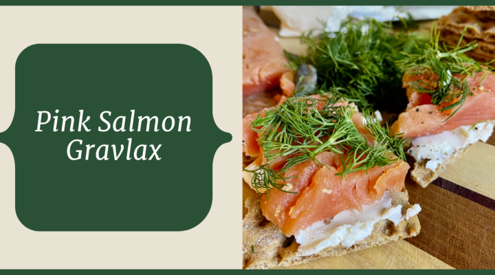 Pink salmon gravlax