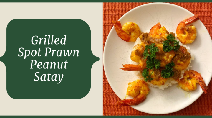 Grilled shrimp satay