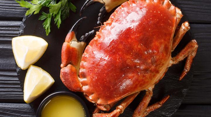 Stock photo of boiled rock crab. Credit: FomaA, Adobe Stock