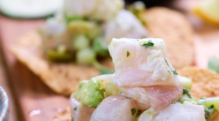 halibut ceviche served on a tostada