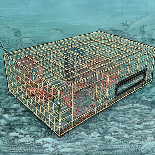 Lobster trap on the sea floor
