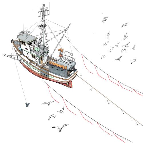 Fishing vessel setting longline gear