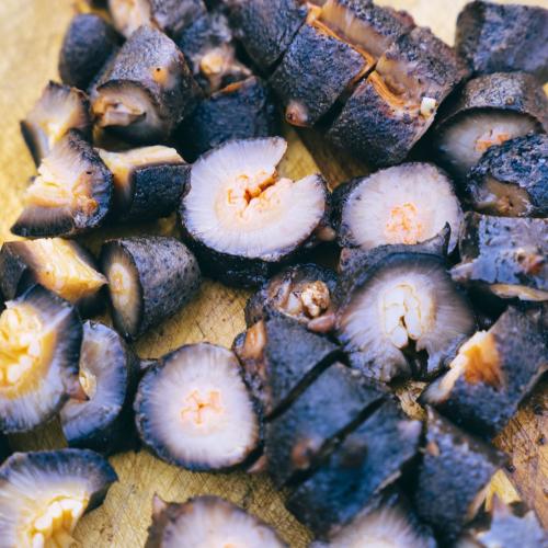 sea cucumber chopped on cutting board