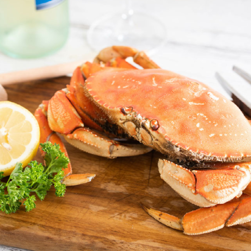 Whole dungeness crab
