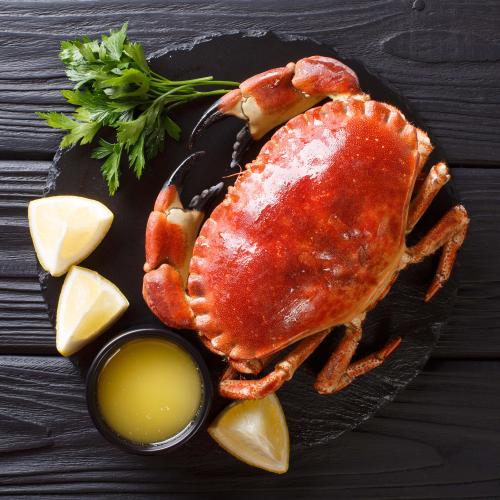 Stock photo of boiled rock crab. Credit: FomaA, Adobe Stock