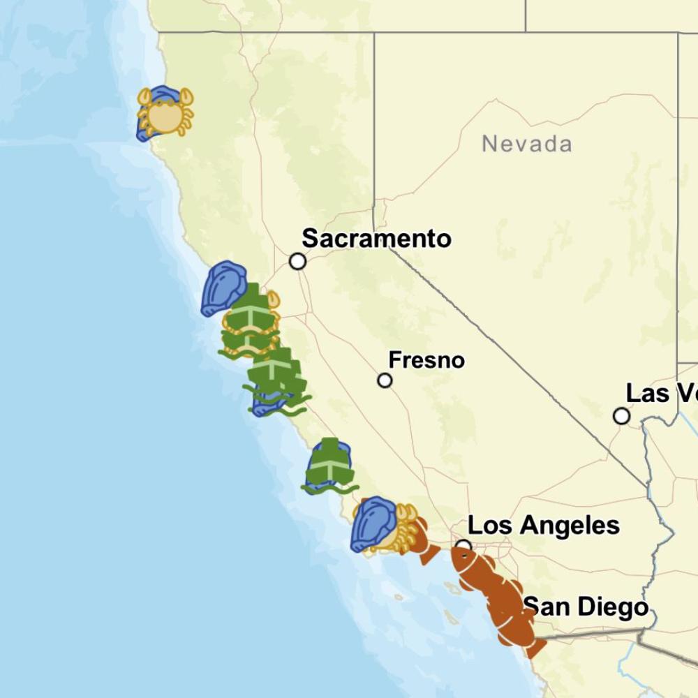 California Producer to Consumer Markets